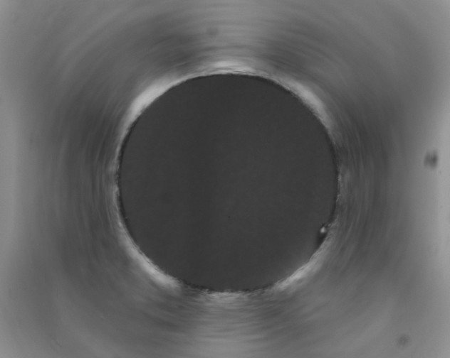 X0000090711373200708171858