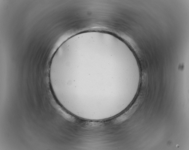 X0000090711374200708171858