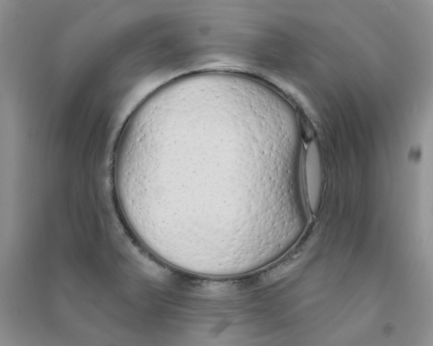 X0000090711375200708171858