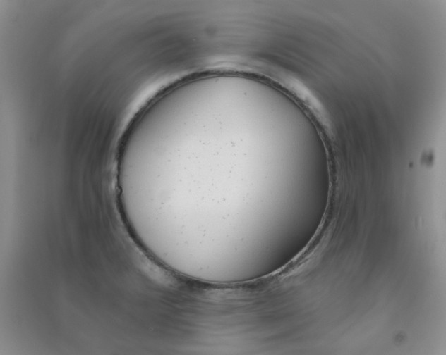 X0000090711376200708171858