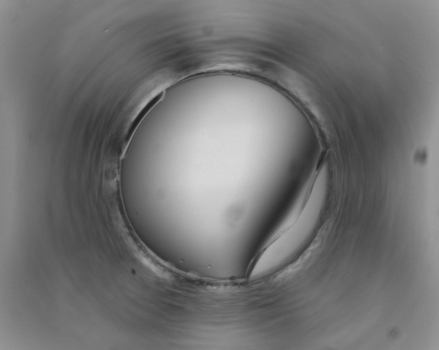 X0000090711377200708171858