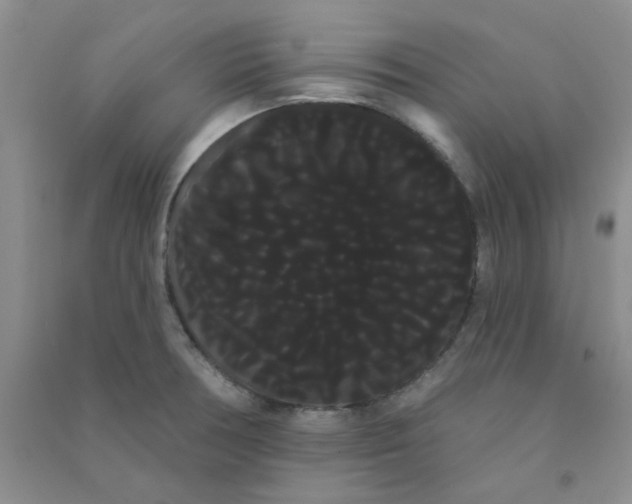 X0000090711378200708171858