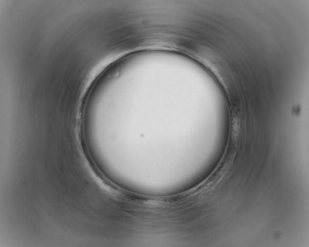 X0000090711379200708171858