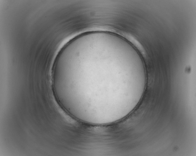 X0000090711380200708171858