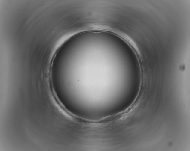 X0000090711381200708171858