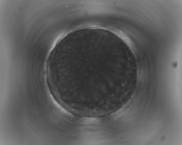 X0000090711382200708171857