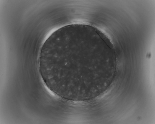 X0000090711383200708171857