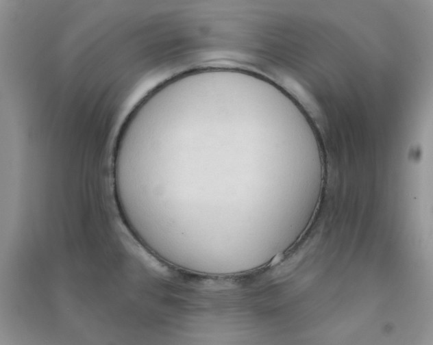 X0000090711384200708171857