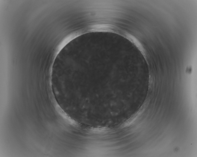 X0000090711386200708171857