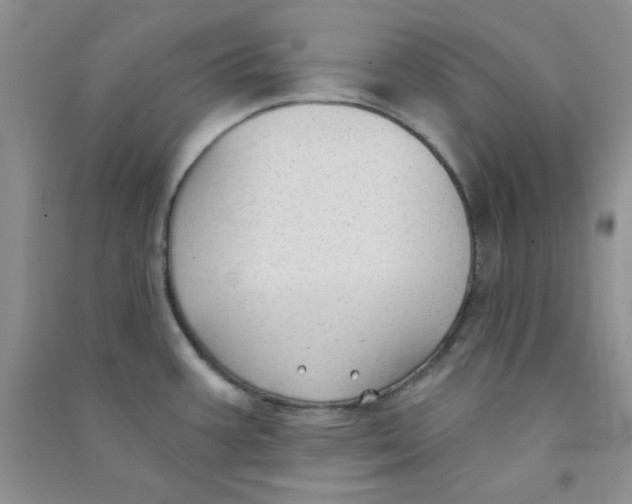 X0000090711387200708171857