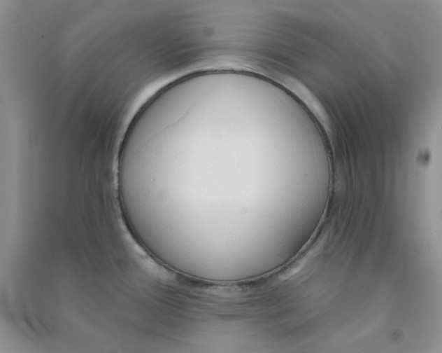 X0000090711388200708171857