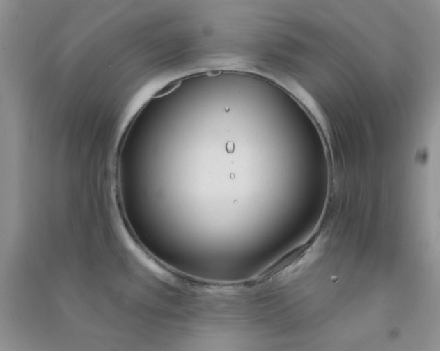 X0000090711389200708171857