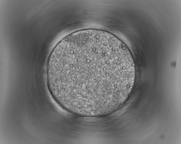 X0000090711391200708171857