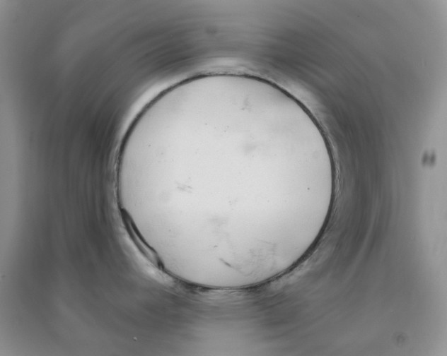 X0000090711392200708171857