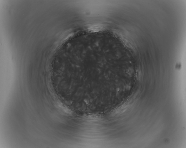 X0000090711393200708171857