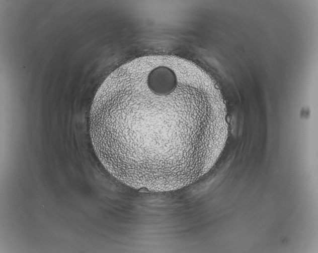 X0000090711395200708171857