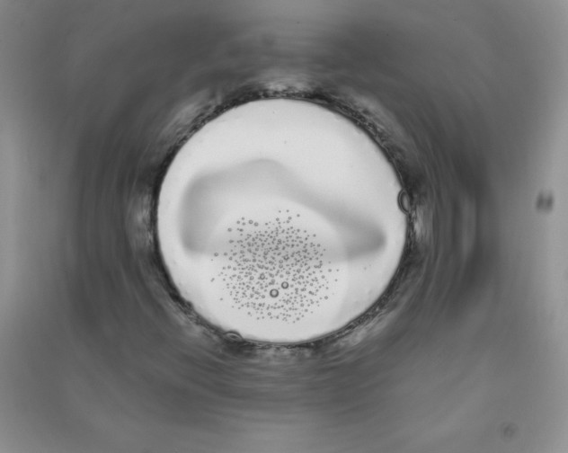 X0000090711396200708171857