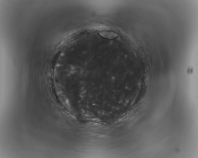 X0000090711397200708171857