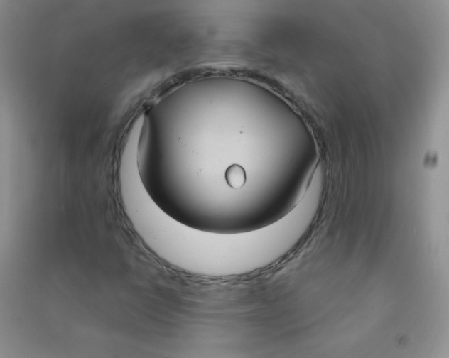 X0000090711398200708171857