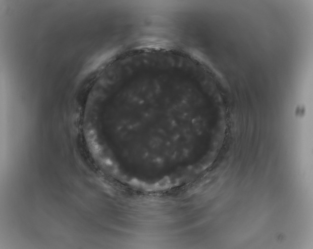 X0000090711399200708171857