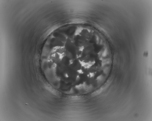 X0000090711401200708171857