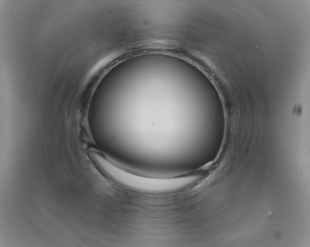 X0000090711402200708171857