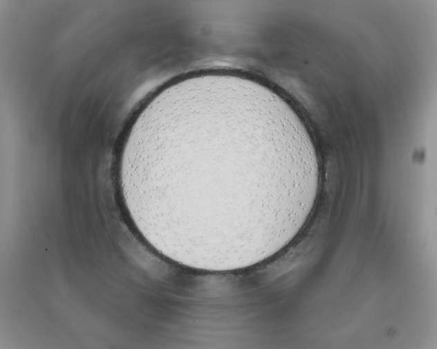 X0000090711404200708171857