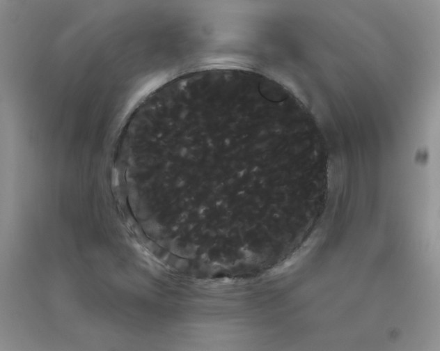 X0000090711405200708171857