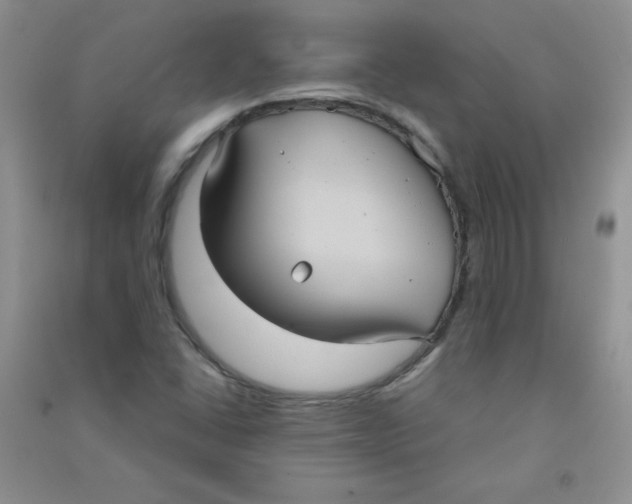 X0000090711406200708171857