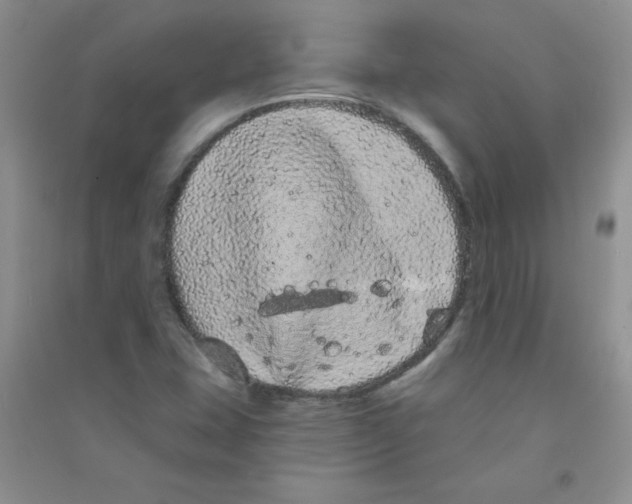 X0000090711407200708171857