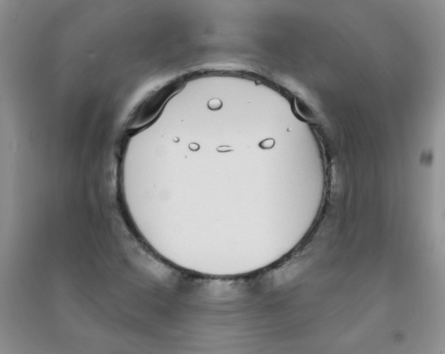 X0000090711408200708171857