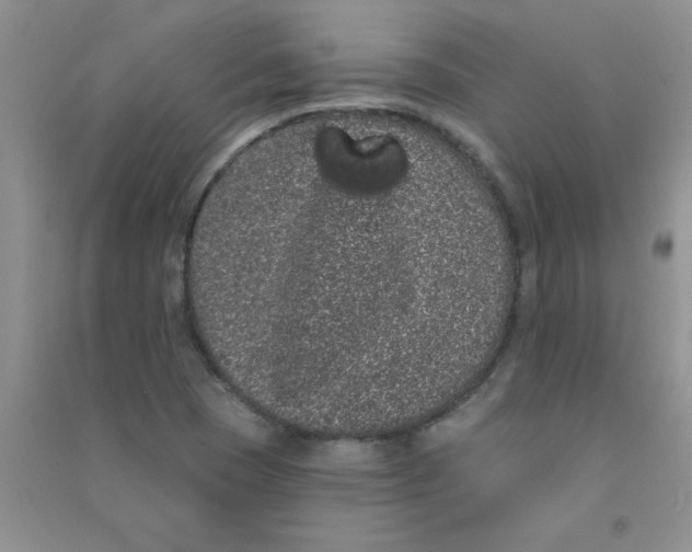 X0000090711409200708171857