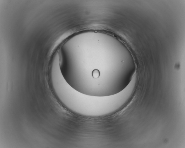 X0000090711410200708171857