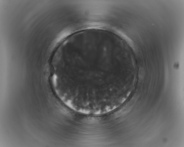 X0000090711411200708171857