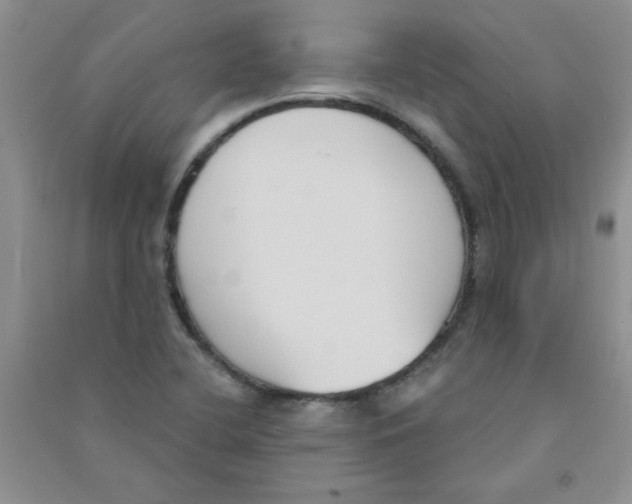 X0000090711412200708171857