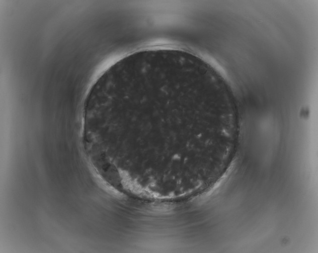 X0000090711413200708171857