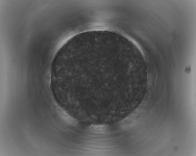 X0000090711415200708171857