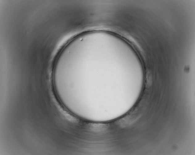 X0000090711416200708171857