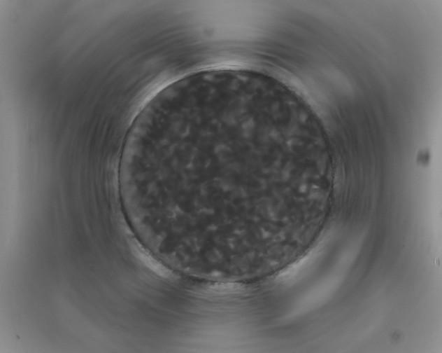 X0000090711417200708171857