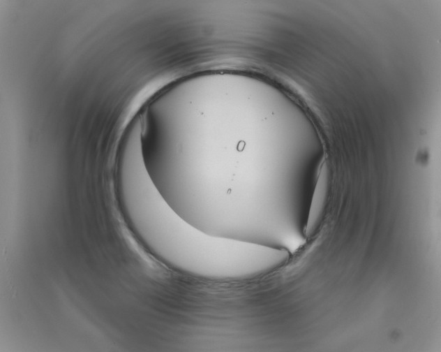 X0000090711418200708171857