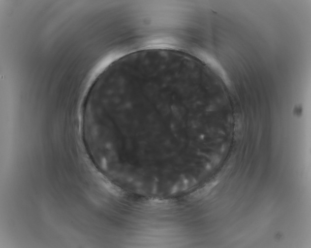 X0000090711419200708171857