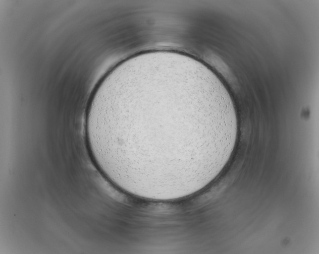 X0000090711420200708171857