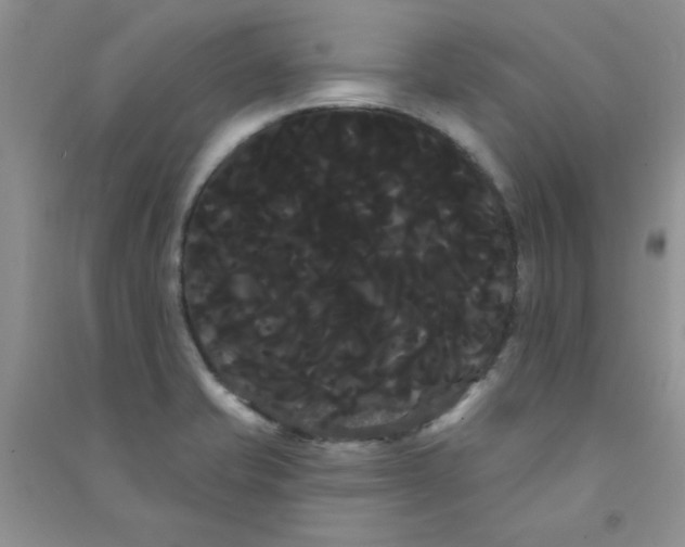 X0000090711421200708171857