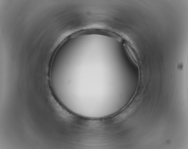 X0000090711422200708171857