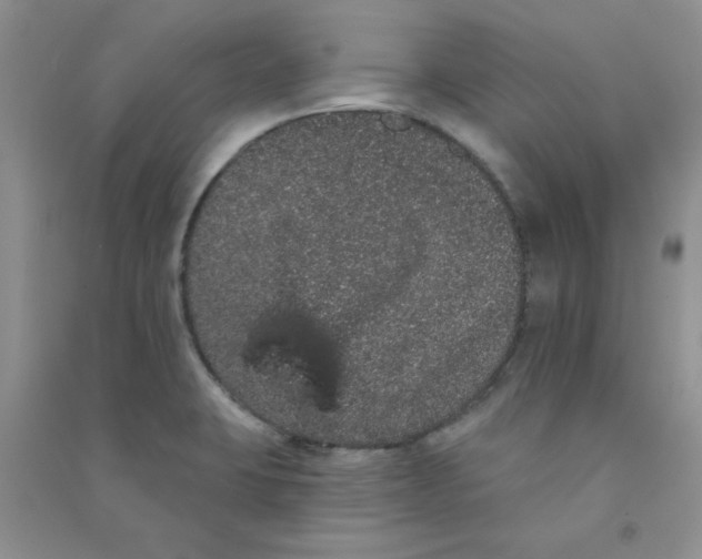 X0000090711423200708171857