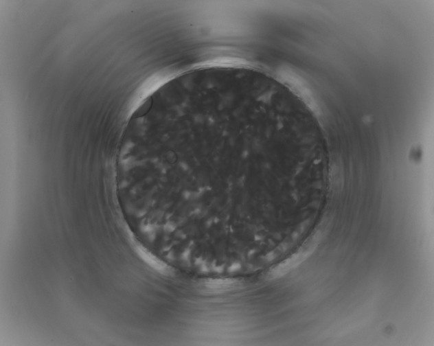 X0000090711425200708171857