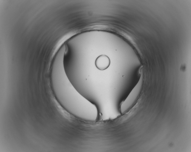 X0000090711426200708171857