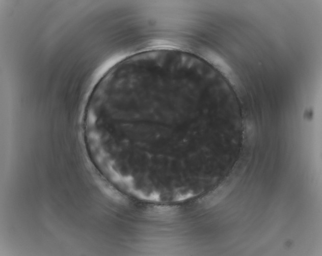 X0000090711427200708171857