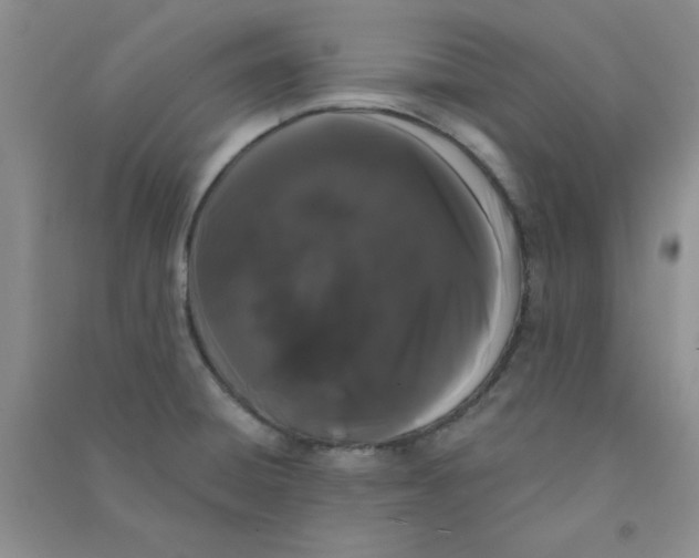 X0000090711428200708171857