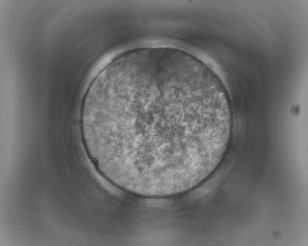 X0000090711429200708171857